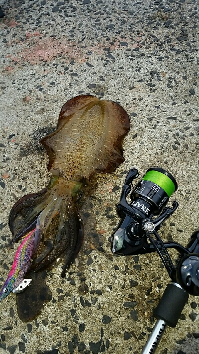 先行者のヤエン師匠