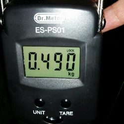 ゲソ、アオリ2、バラシ