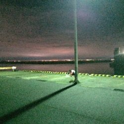 透明プラグ良か