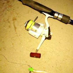 さくっとタチウオ