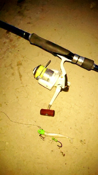 さくっとタチウオ