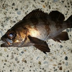 悪くないけれど