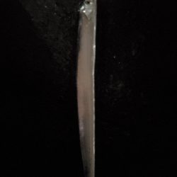 夜釣り太刀魚調査