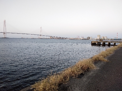 サバの猛攻に屈する