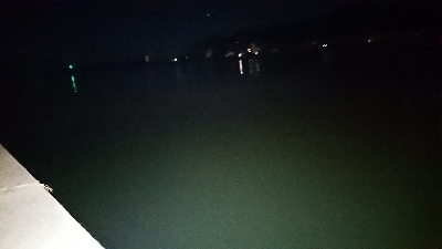 ベーコンでハタ