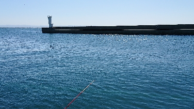 コフダイ空振り