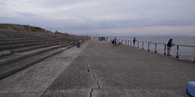 時合いがみじかっ！