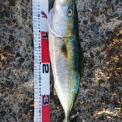 まあまあな結果