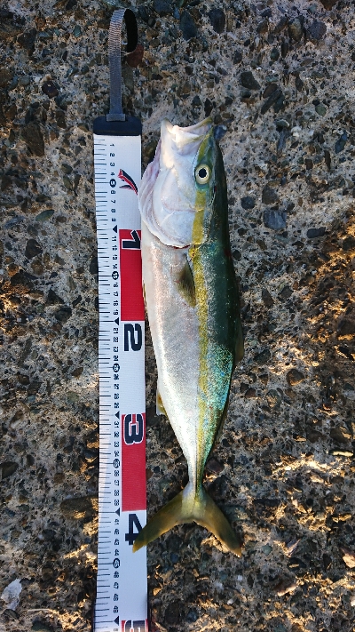 まあまあな結果