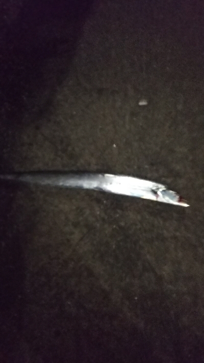 もうちょっと数釣りたい