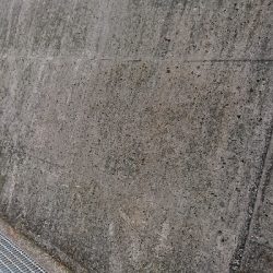 ハマチのはずが！