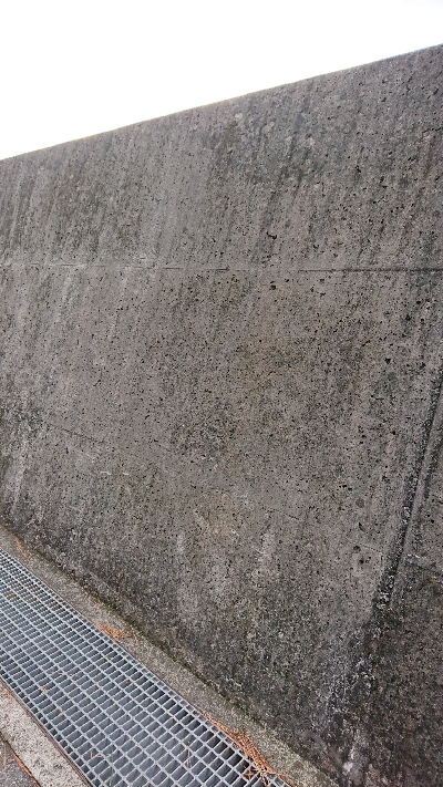 ハマチのはずが！