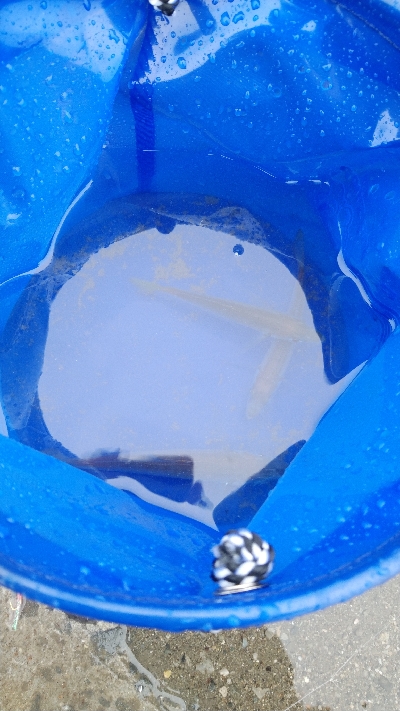 車窓フィッシング