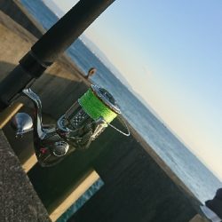 台風の影響は少ないが、、