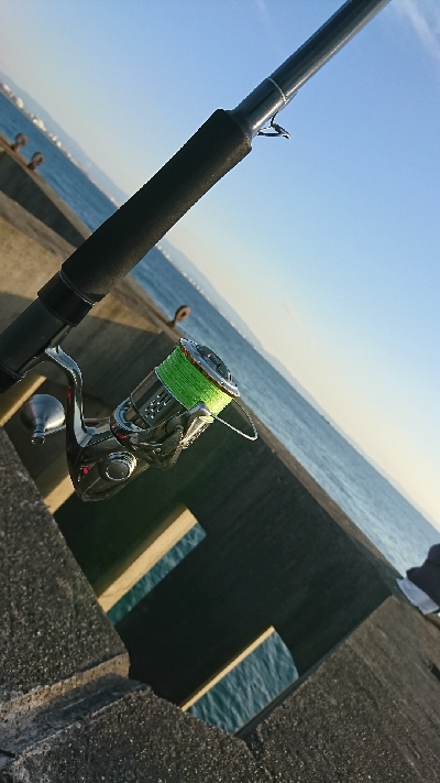 台風の影響は少ないが、、