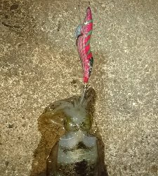 再びマルチヒット!!