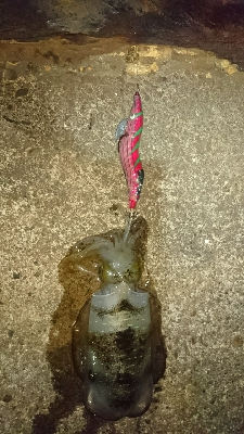 再びマルチヒット!!