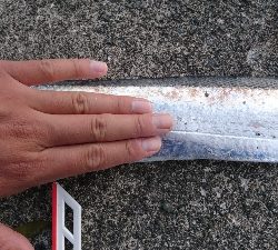 タチウオ・アジ