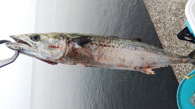 県北ランガン！