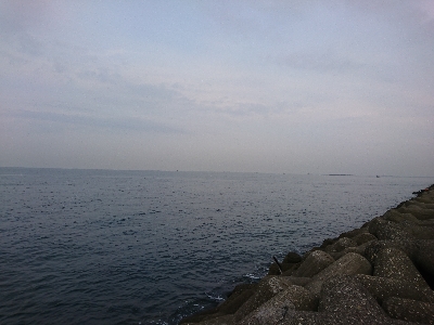 朝マヅメ タチウオ