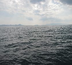 久しぶりの休日