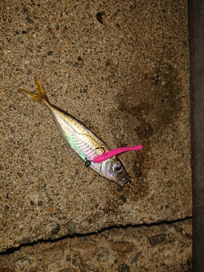 マメ、マメ、マメ