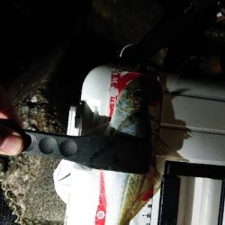 サイズが、のびず