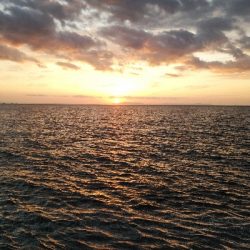 タチウオ激渋…