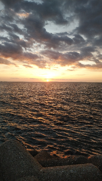 タチウオ激渋…