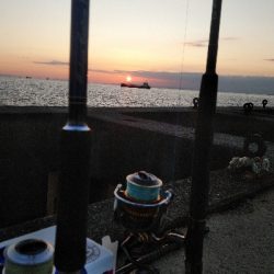 ハマチは好調だかタチウオは…