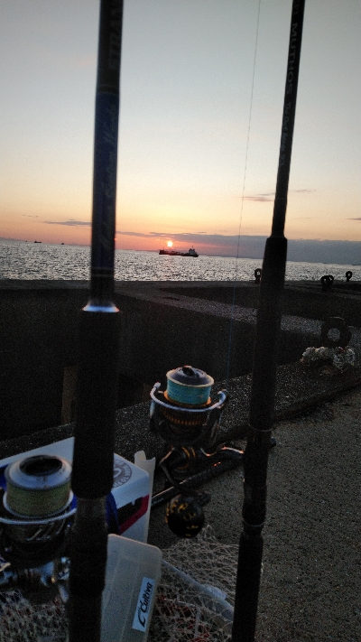 ハマチは好調だかタチウオは…