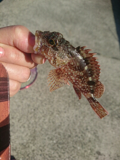 今日も行きました