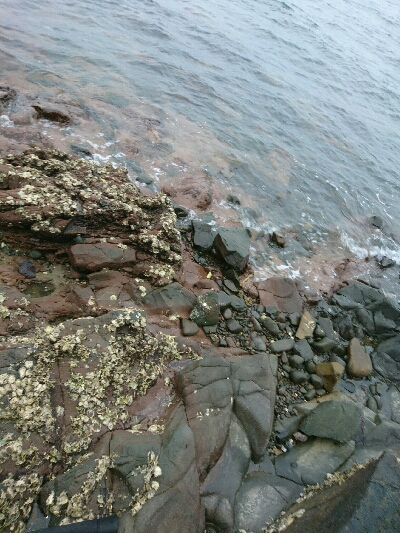 フラット狙いで、アコウ！！