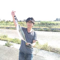 ハマチのちボラー