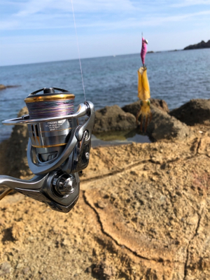 竹野浜ランガン エギング