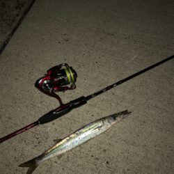 ショアジギング