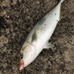 メタルバイブに助けられた^ ^笑