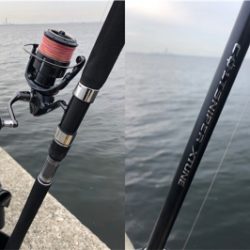 台風前に荒ぐい狙って