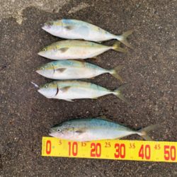 ショアジギング