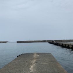 アジング  ジグたん