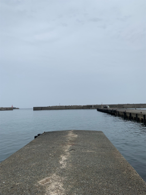 アジング  ジグたん