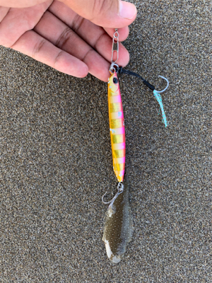 ジギングサビキ恐ろしや