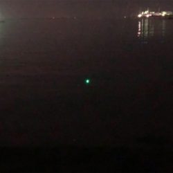 タッチー喰いが渋い（泣）