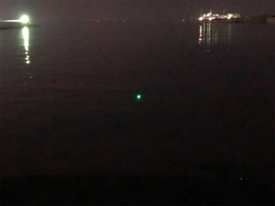 タッチー喰いが渋い（泣）