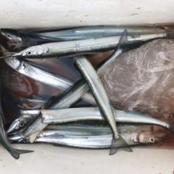 このくらいが丁度いい