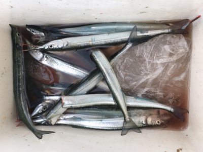 このくらいが丁度いい