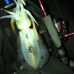 少し荒れてた方が釣れる?σ(^_^;)