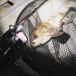 ライトゲーム‼︎