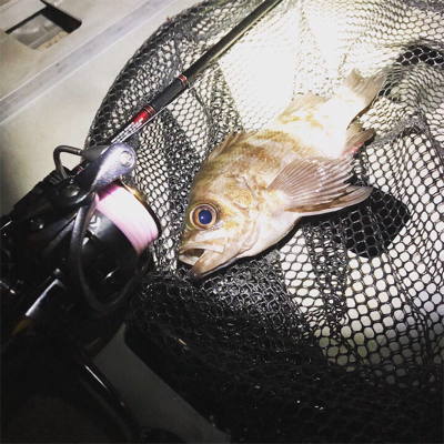 ライトゲーム‼︎