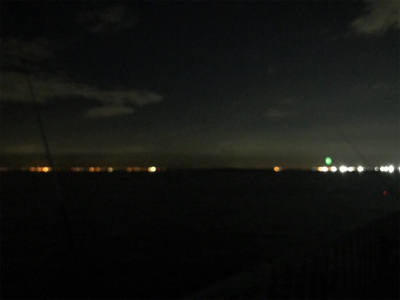 タチウオ、、どうにか、、